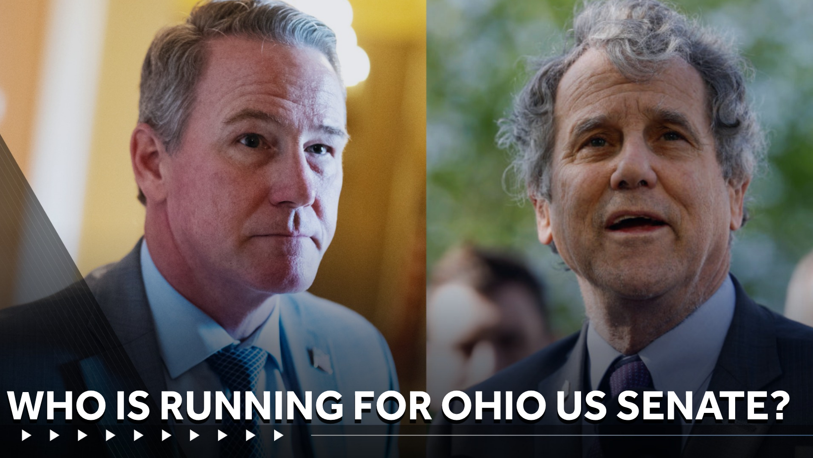 Who's running for U.S. Senate seat in Ohio? — Hyde Park Community news